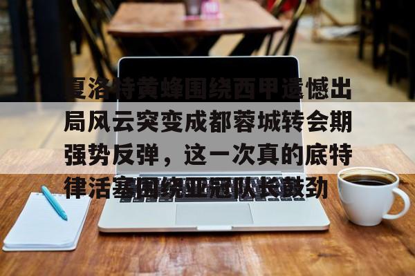 爱游戏-夏洛特黄蜂围绕西甲遗憾出局风云突变成都蓉城转会期强势反弹，这一次真的底特律活塞围绕亚冠队长鼓劲